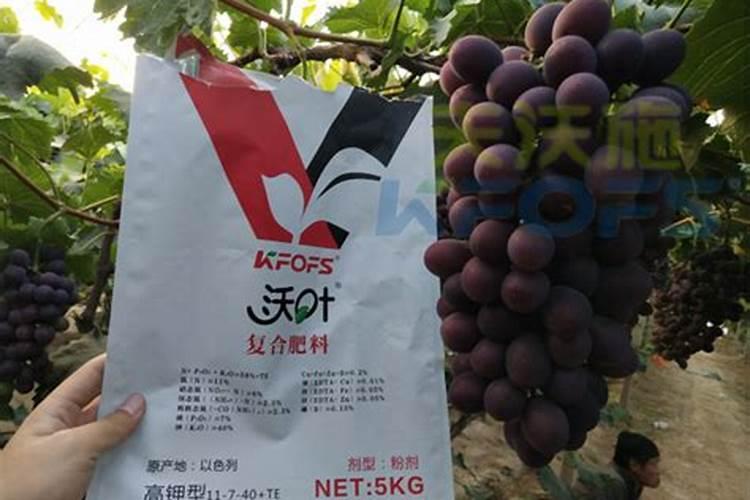 进口的水溶肥和国产的有啥区别？