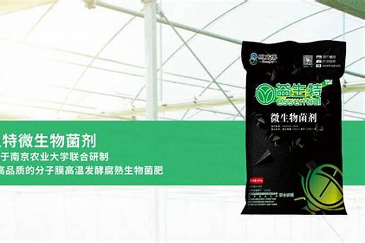 正宗生物菌肥怎么样2025？