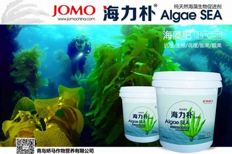海藻肥与生物菌肥哪个好