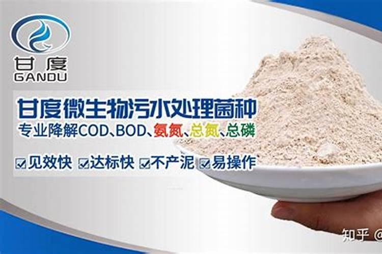 国内微生物菌肥用的菌种排行企业有哪些？