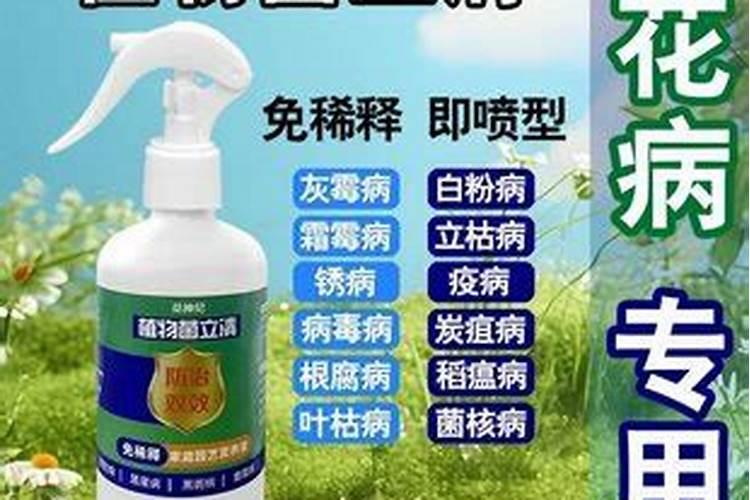 微生物菌剂养花怎么用