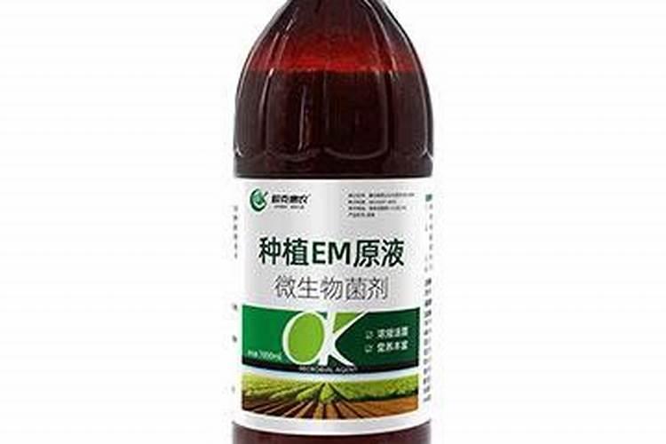 郁金香微生物菌剂是什么做的四会？