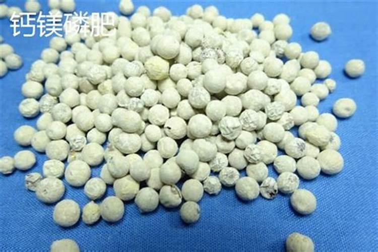 2025用钙镁磷肥有什么好处？