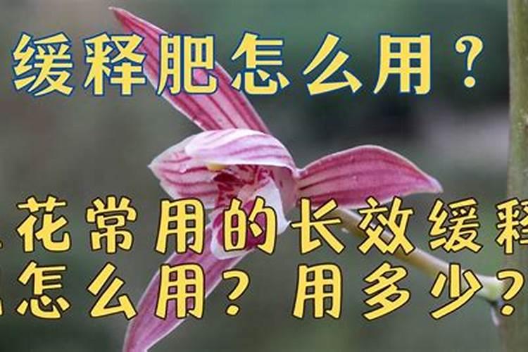 乱用缓释肥的经验分享