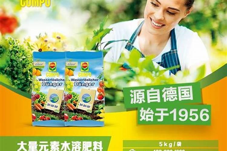 2025大量元素水溶肥料属于什么肥沙糖桔？