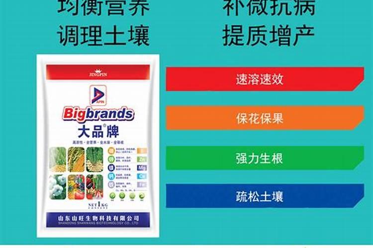 中微量元素肥料品牌排行榜仙人球