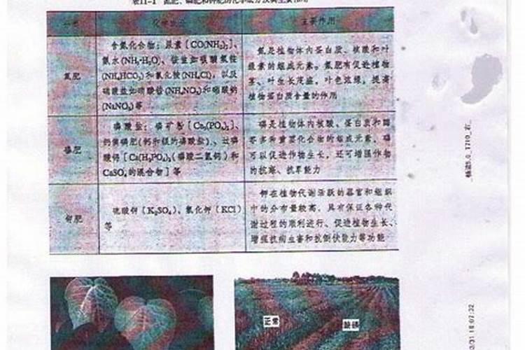 氮肥,钾肥和磷肥所含的化学成分
