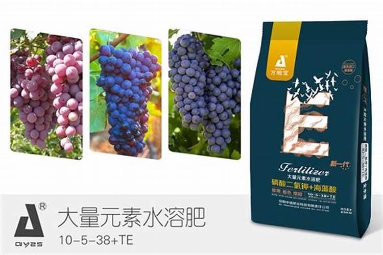 葡萄水溶肥料厂家三叶草