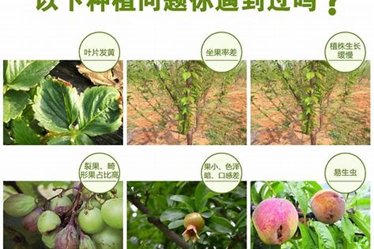 微生物肥料的作用原理莆田