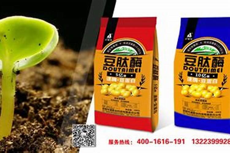 微生物菌肥在果树上使用方法？