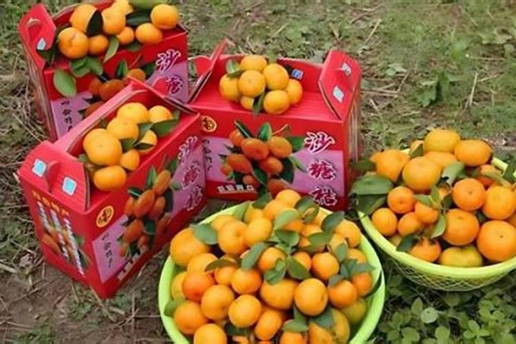 尿素生产厂家有哪些地方的砂糖橘？