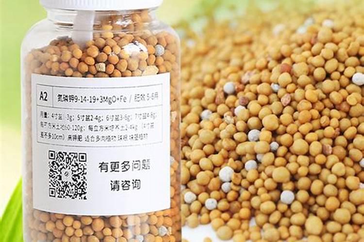 仁怀2025多肉缓释肥有什么好处？