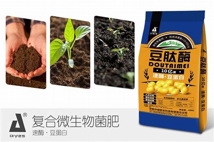 改善土壤用什么肥料