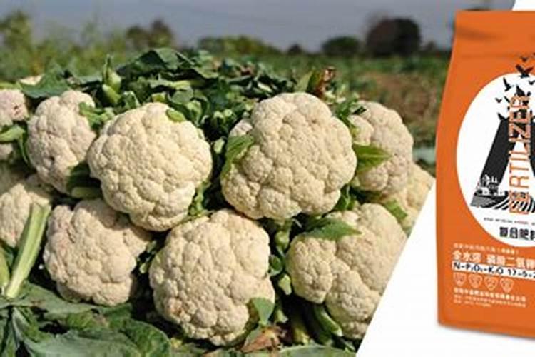 包头花椰菜微生物肥料是什么东西做的？