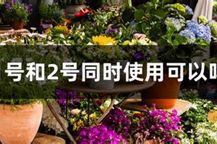 花多多1号和2号同时使用可以吗？