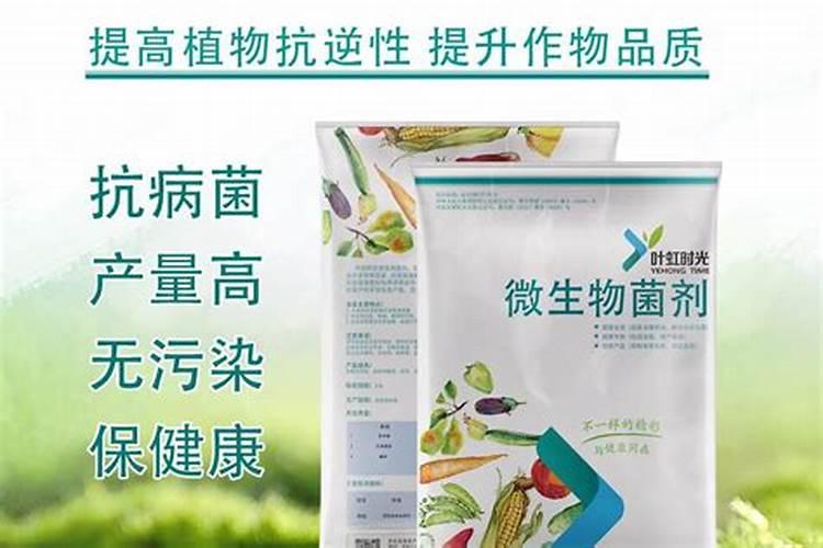 微生物菌剂对人体有害吗