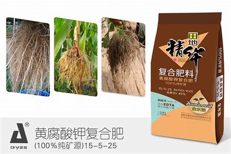 蒜黄矿源黄腐酸钾的特点？