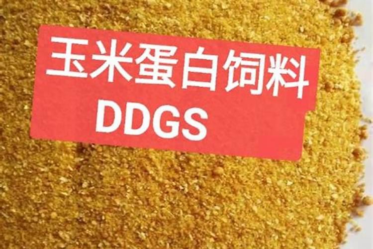 2025化肥厂家直销一手货源玉米
