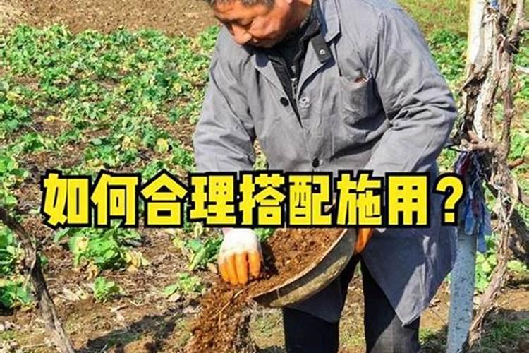菌肥一亩用多少斤科学合理施肥
