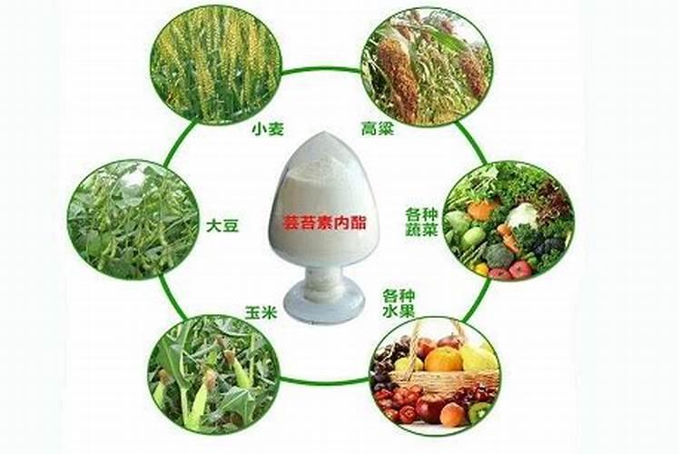 氨基酸水溶肥与那个芸苔素能打白菜吗？