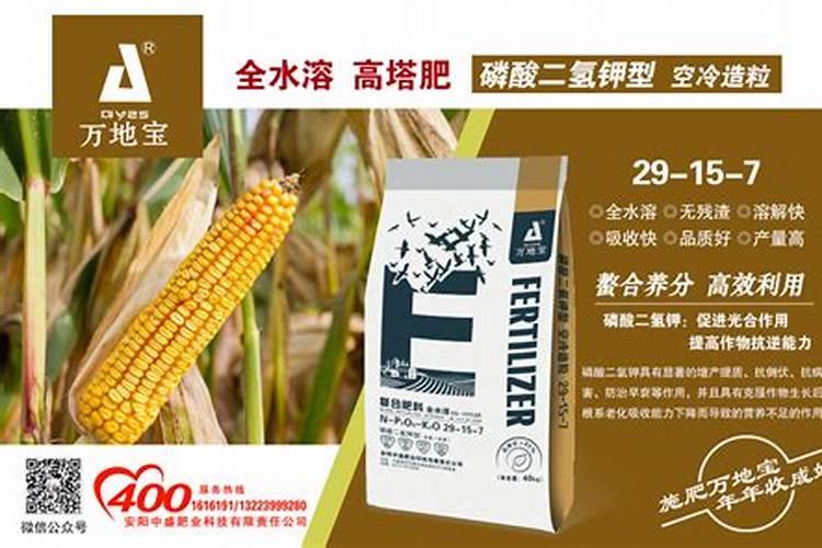 什么是缓释肥,缓释肥未来发展前景如何？