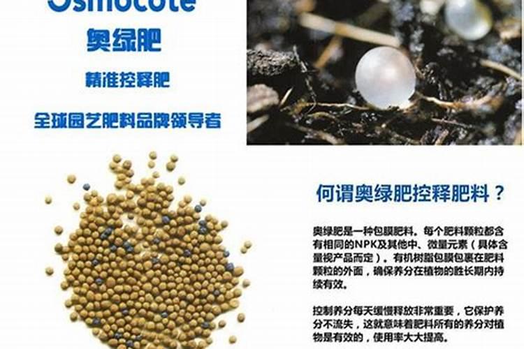 多肉缓释肥是什么成分核桃树？