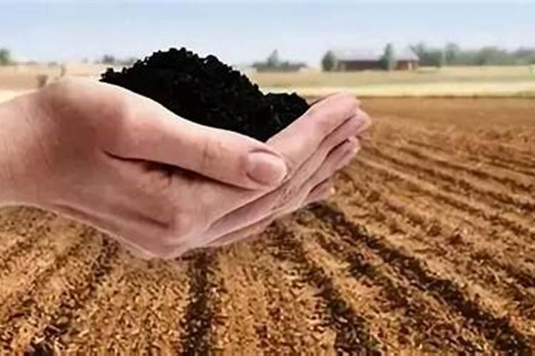 草木灰微生物肥料有哪些种类2025？