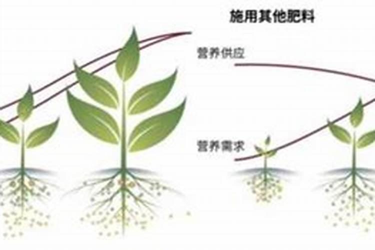 控释肥的释放原理是什么2025？