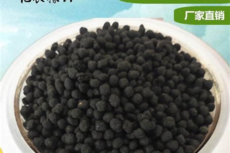 生物菌肥有机肥厂家