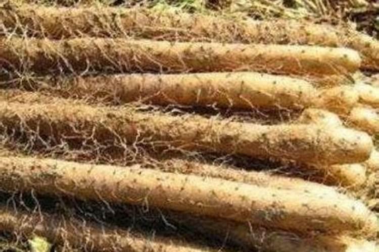 清镇水溶肥可以和微生物菌剂一起用吗2025？