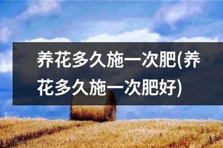 缓释肥多久施一次好西兰花？