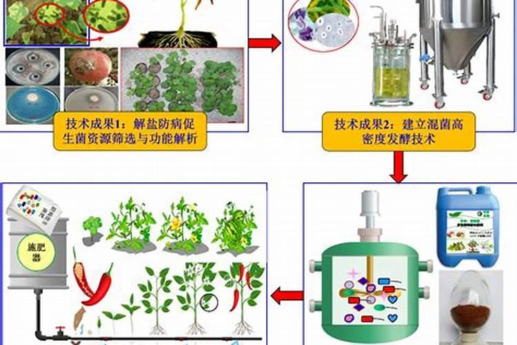 微生物菌剂的效果与功能