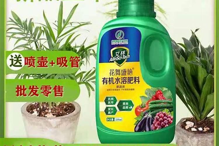 2025凤梨大型果树专用肥料有哪些？