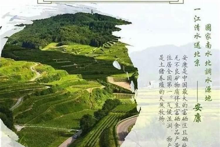 全国富硒肥厂家排名朝阳2025