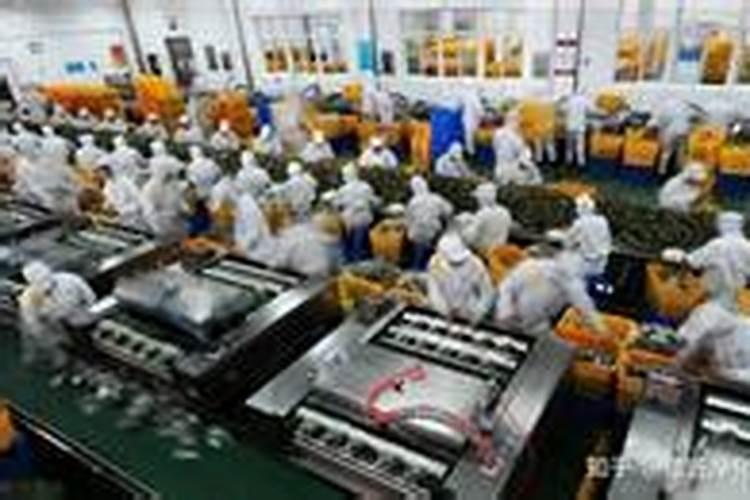 化肥厂联系方式大全电话号码？