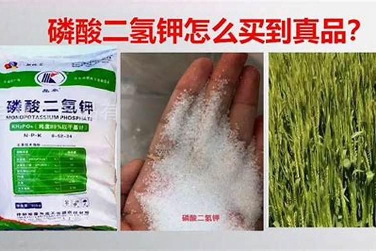 农资市场太繁杂了,那该怎样识别真假磷酸二氢钾？