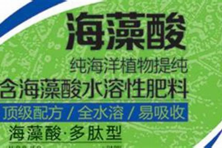 以色列海藻肥怎么使用？