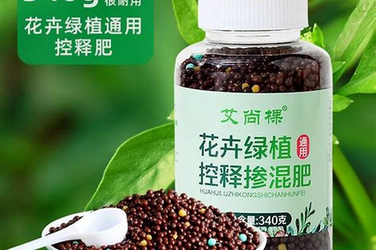 多肉控释肥和缓释肥哪个好些楚雄？