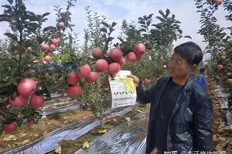 江西大量元素水溶肥料的作用与效果？