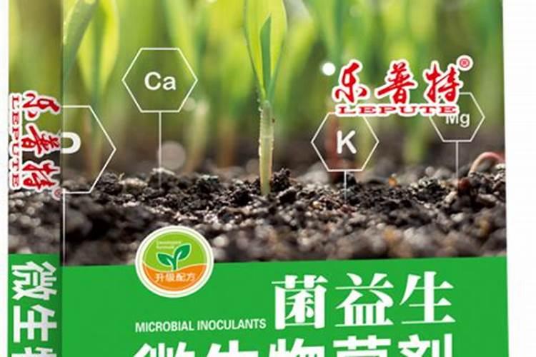 黄姜农用微生物菌剂是什么肥料玉林？