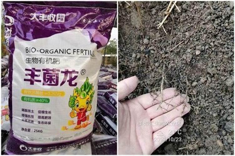 生物肥料十大品牌山西