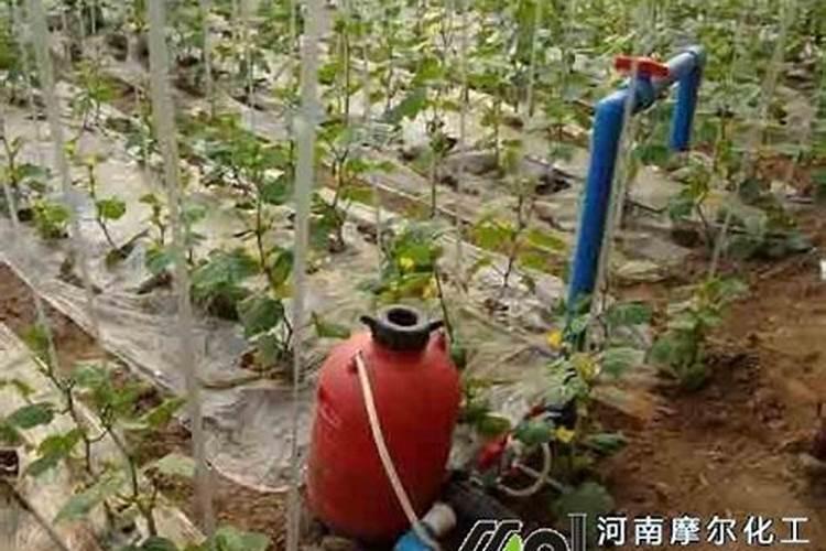 华阴水溶肥一亩地冲施多少肥？
