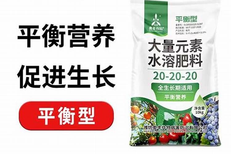 大量元素水溶肥料批发