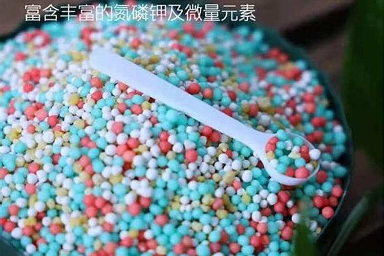 多肉控释肥遇水就化了是假的？