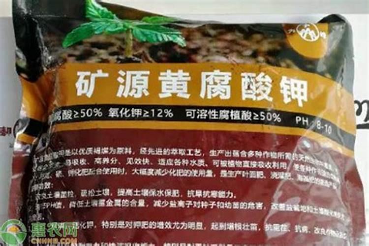 两招教你鉴别矿源黄腐酸钾？