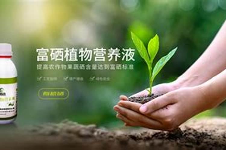 农业用硒肥哪里买最好是大厂家的