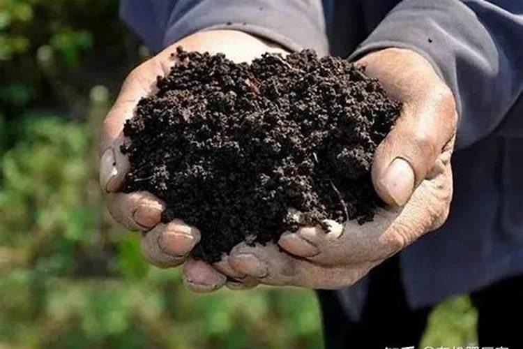 微生物菌肥一亩地需要多少2025？