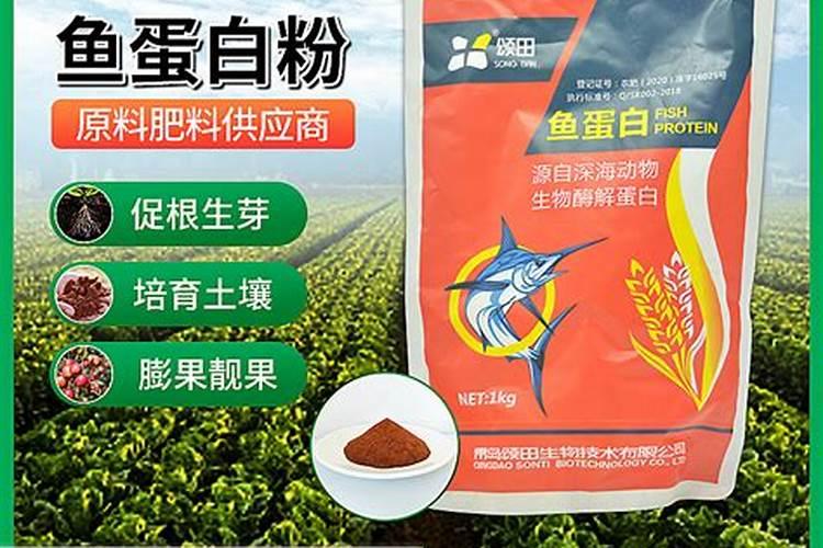 鱼蛋白肥料批发基地