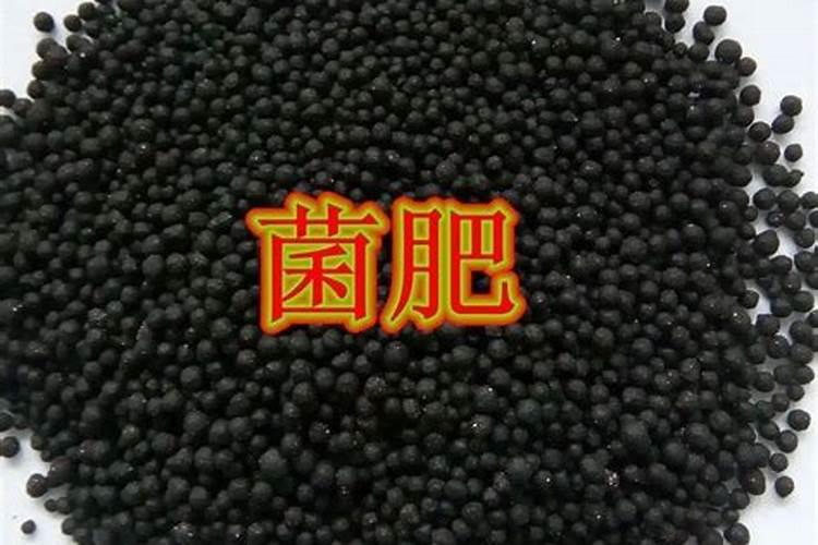 恩施微生物菌肥的特点包括哪些海藻？