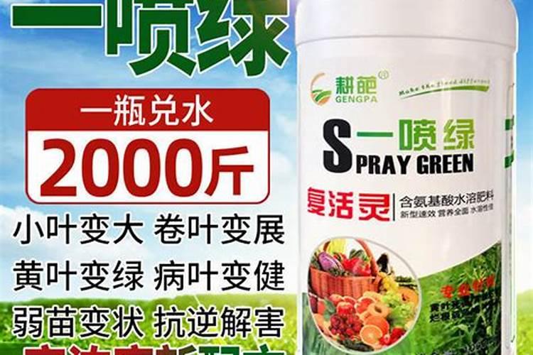 龙泉氨基酸叶面肥什么时候喷好一点？
